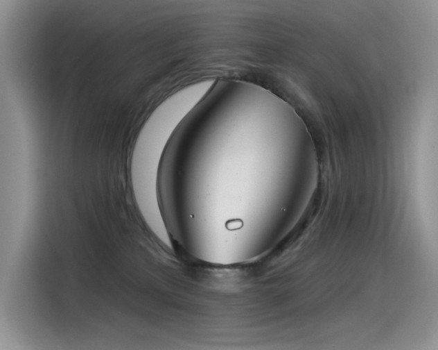 X0000115530233200911131512