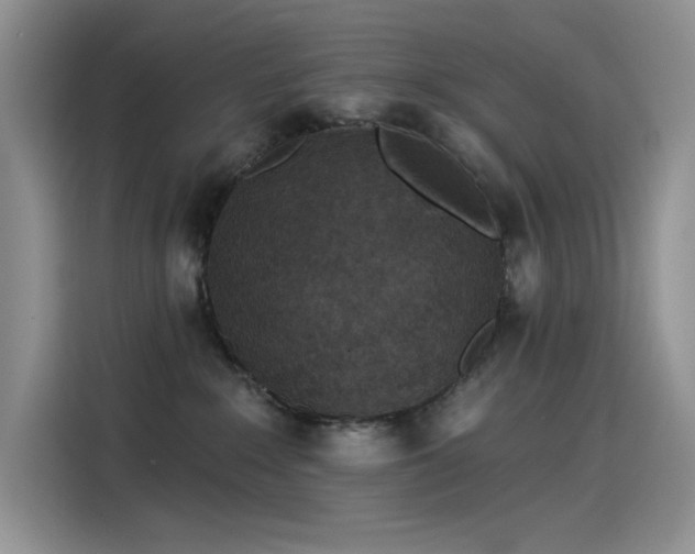 X0000115530235200911131511