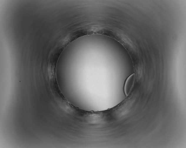 X0000115530236200911131511