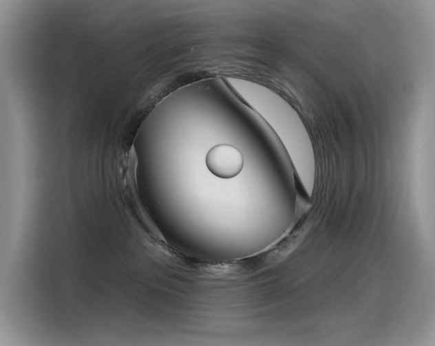 X0000115530237200911131511