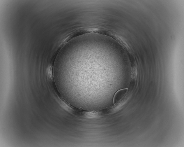 X0000115530238200911131511