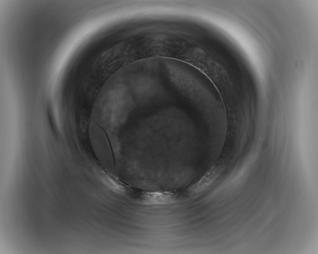 X0000115530239200911131511