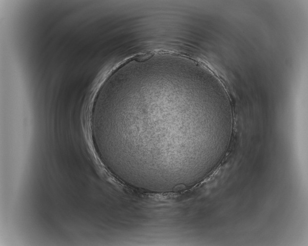 X0000115530241200911131511