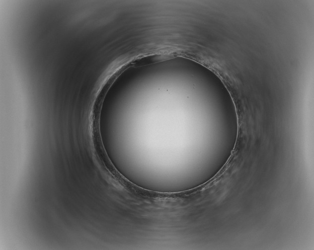 X0000115530242200911131511