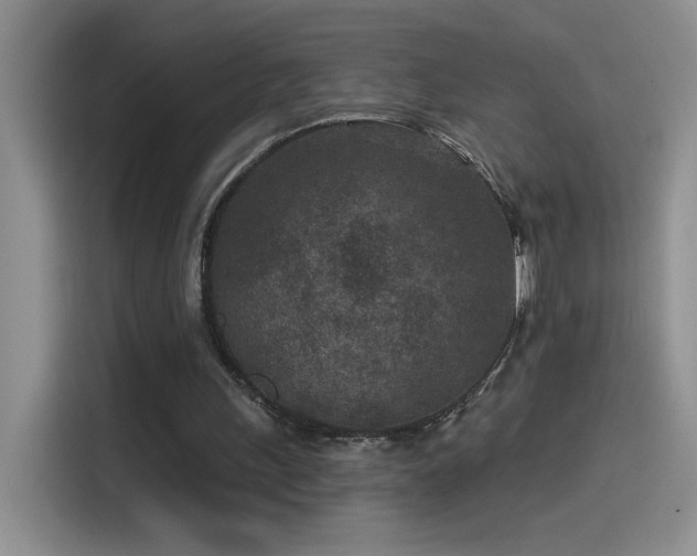 X0000115530243200911131511