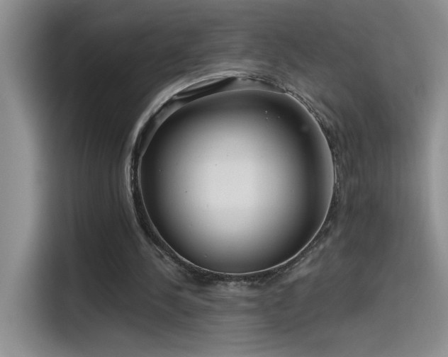 X0000115530244200911131511