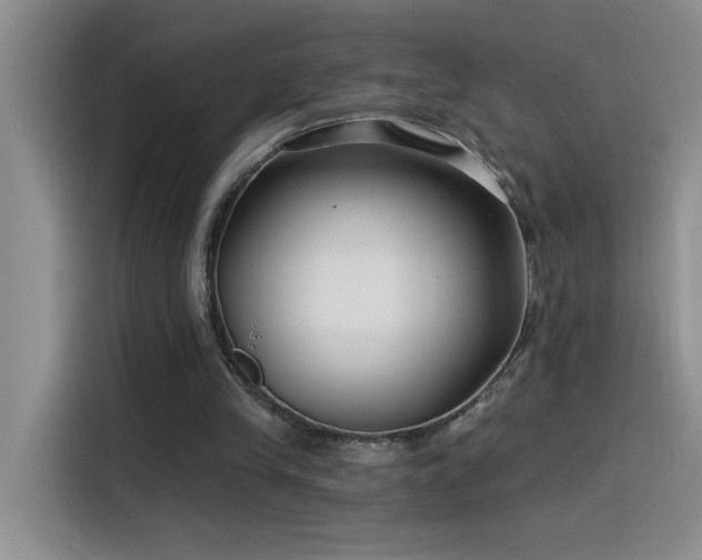 X0000115530245200911131511