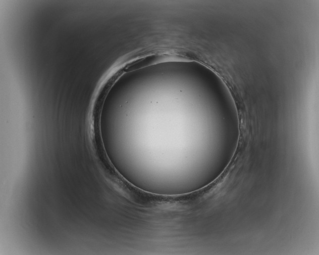 X0000115530246200911131511