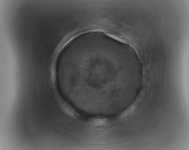 X0000115530247200911131511