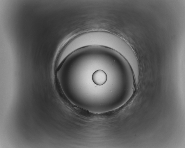 X0000115530248200911131511