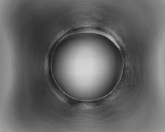 X0000115530250200911131511