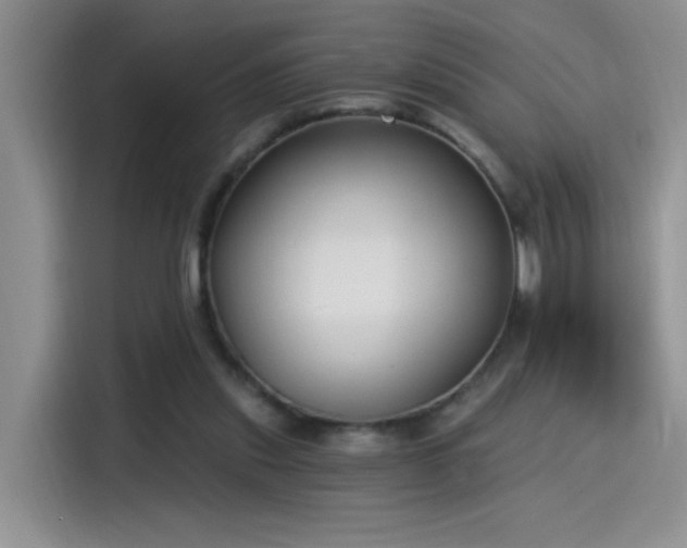 X0000115530253200911131511