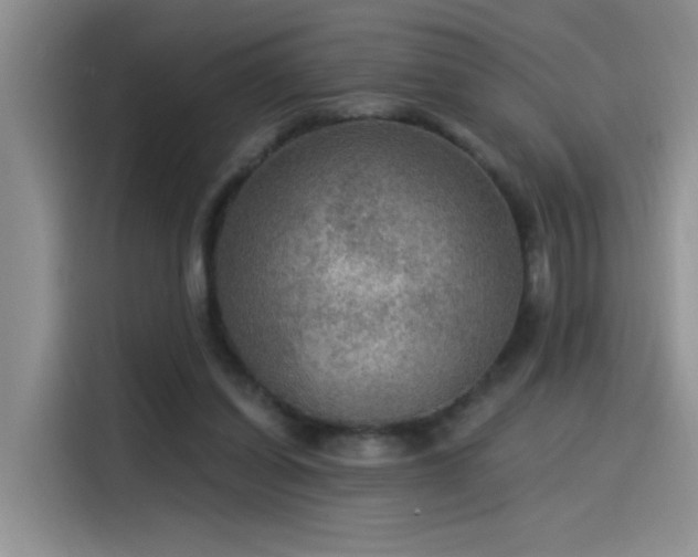 X0000115530254200911131511