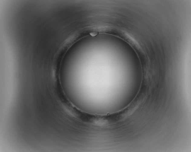 X0000115530258200911131511