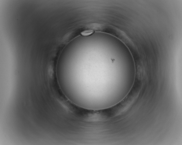 X0000115530259200911131511