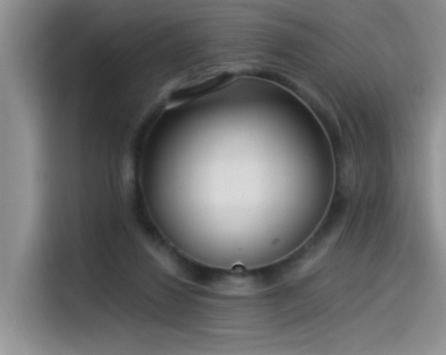 X0000115530260200911131511