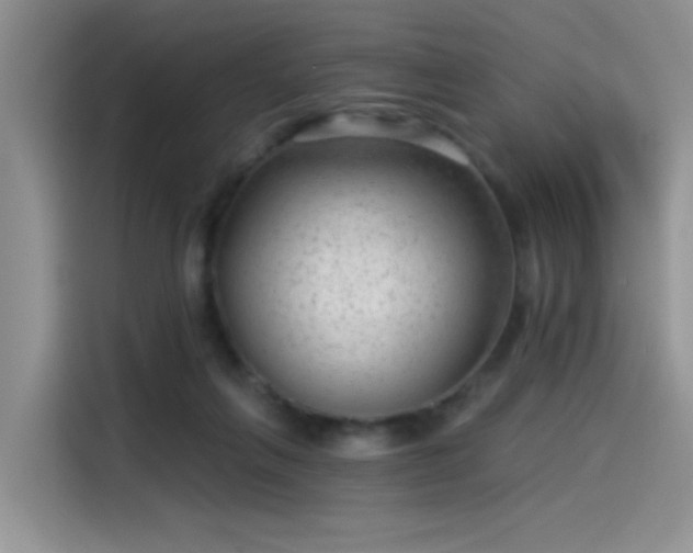 X0000115530263200911131511