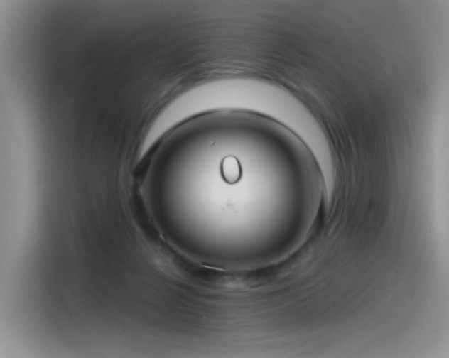 X0000115530264200911131511