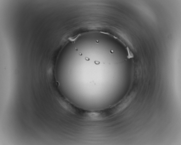 X0000115530265200911131511