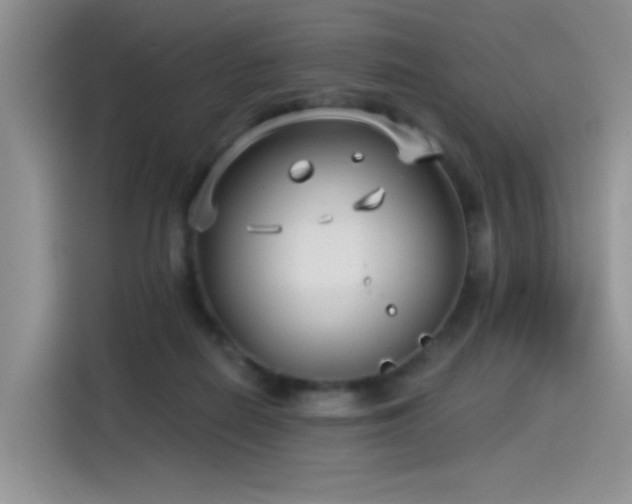 X0000115530266200911131511