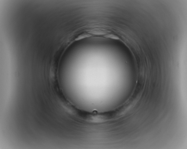 X0000115530268200911131511