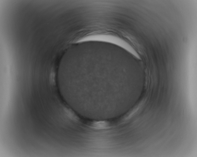 X0000115530269200911131511