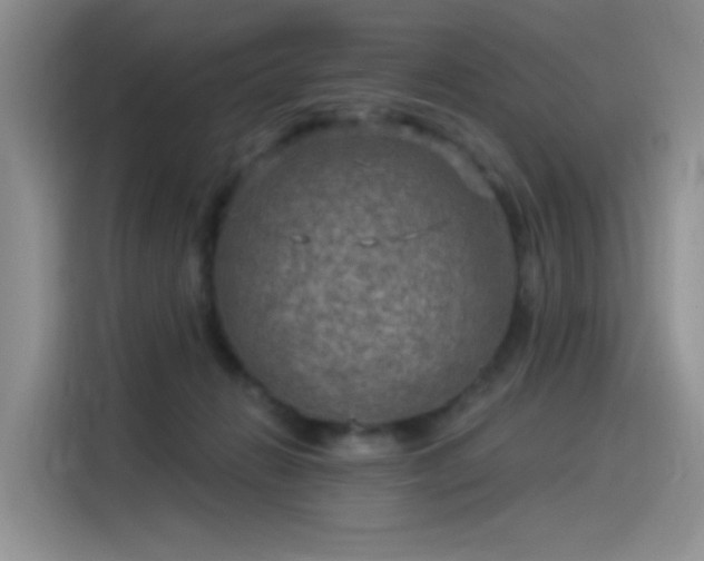 X0000115530270200911131511