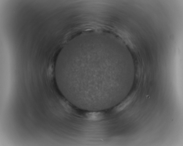 X0000115530273200911131511