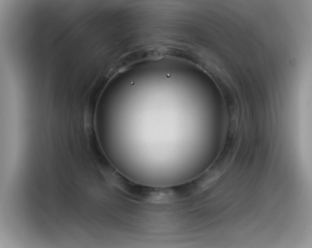 X0000115530274200911131511