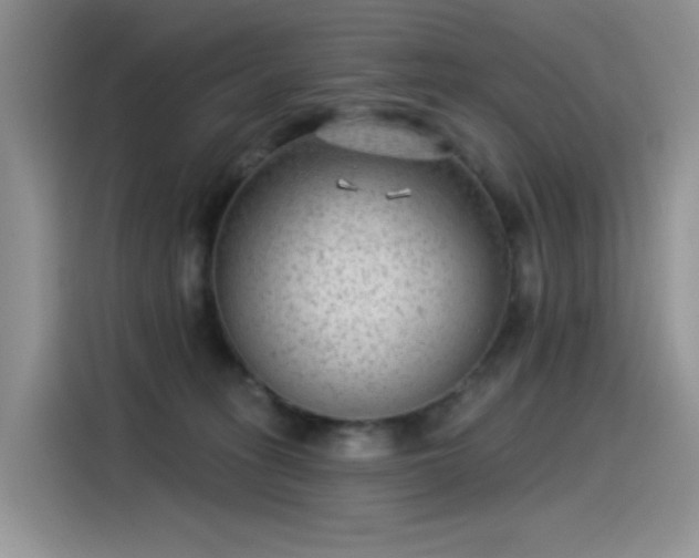 X0000115530275200911131511