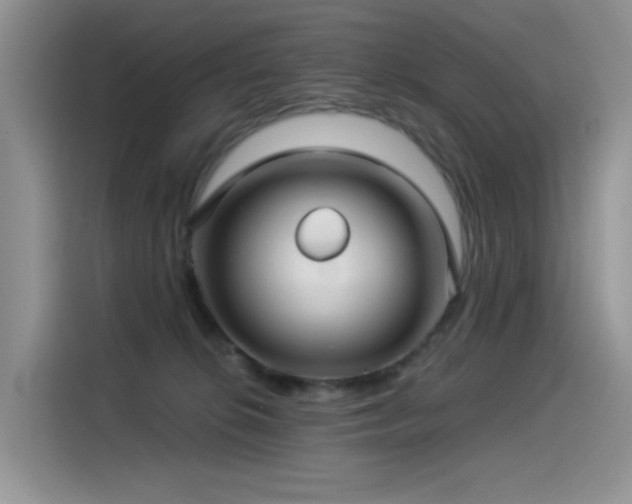 X0000115530276200911131511