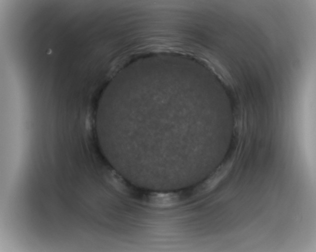 X0000115530277200911131511