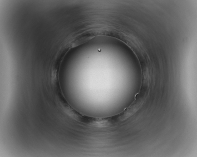 X0000115530278200911131511