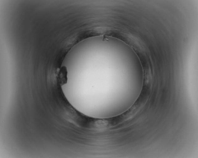 X0000115530279200911131511