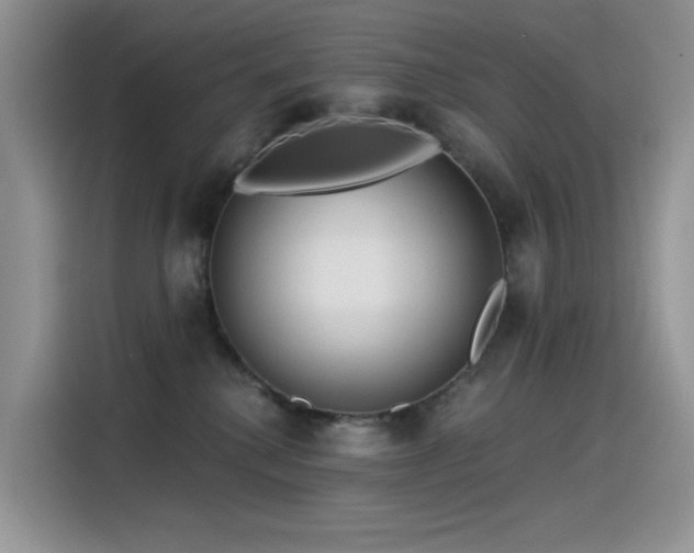 X0000115530280200911131511