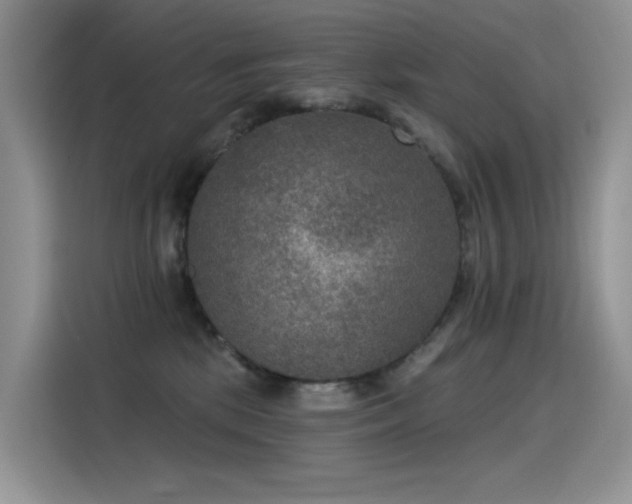 X0000115530281200911131511