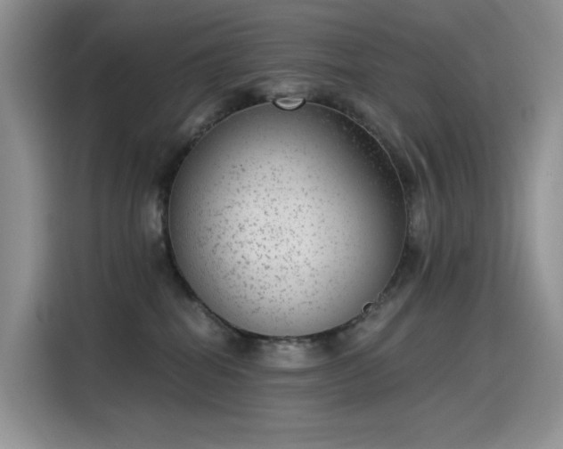 X0000115530282200911131511