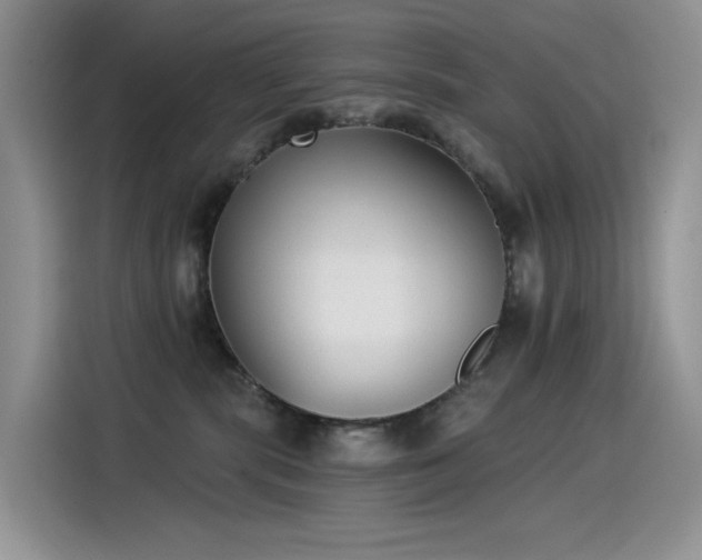 X0000115530283200911131511