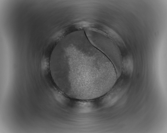 X0000115530284200911131511