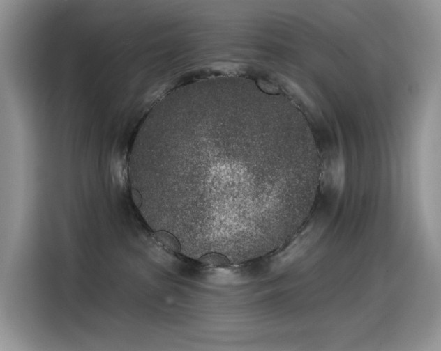 X0000115530285200911131511