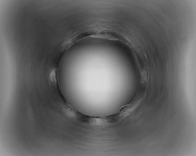 X0000115530286200911131511