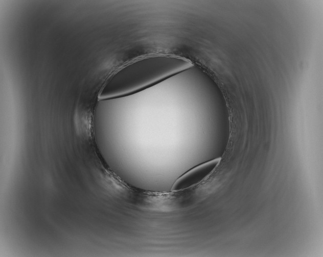 X0000115530288200911131511