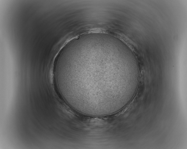 X0000115530290200911131511