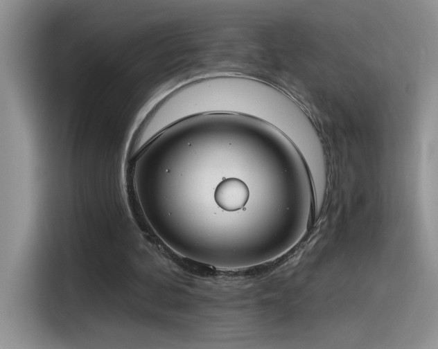 X0000115530292200911131511