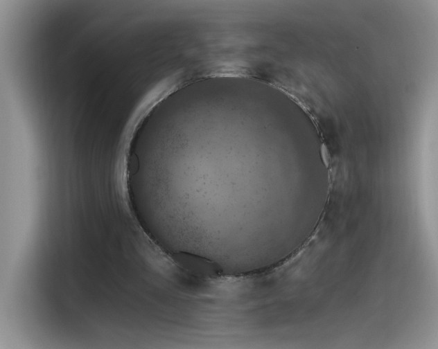 X0000115530293200911131511