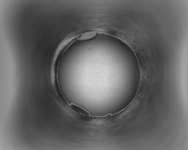 X0000115530294200911131511