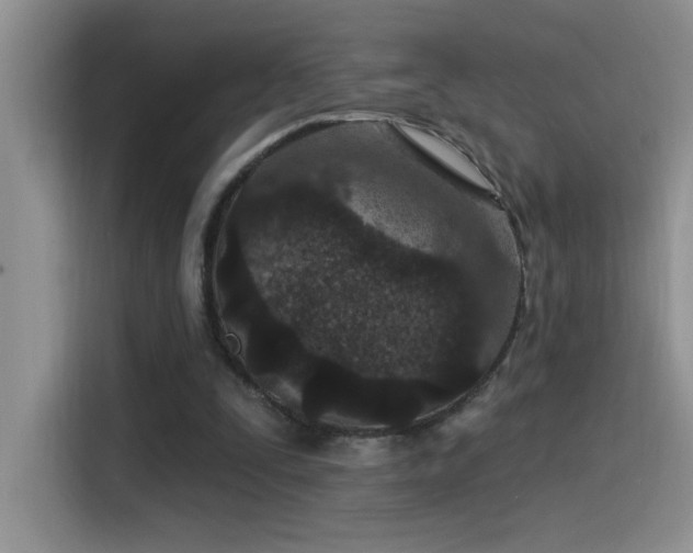 X0000115530295200911131511