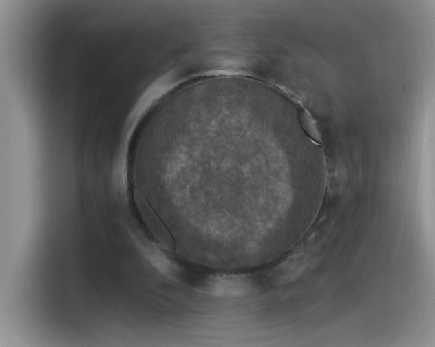 X0000115530296200911131511