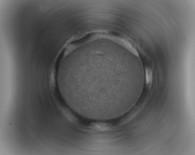 X0000115530300200911131511