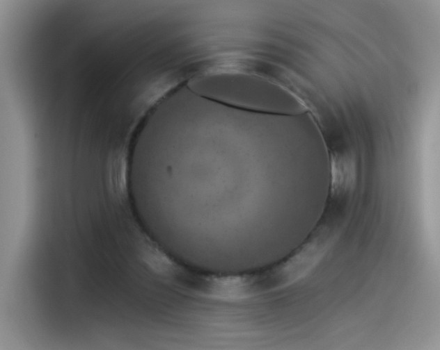 X0000115530301200911131511